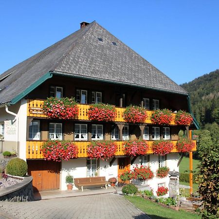 Ferienwohnung Talblick Тодтмос Экстерьер фото