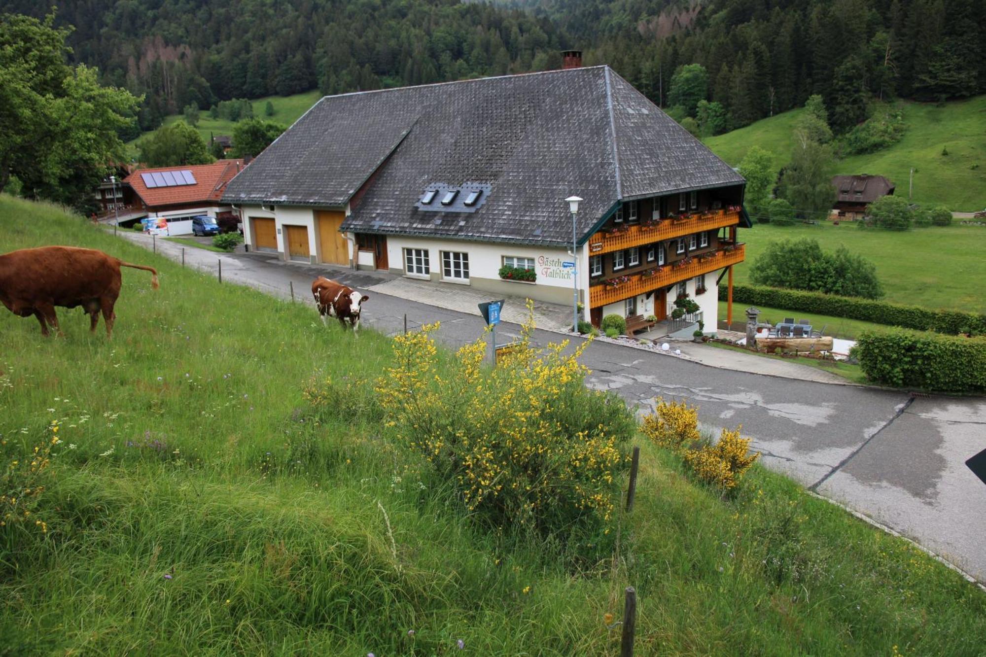 Ferienwohnung Talblick Тодтмос Экстерьер фото