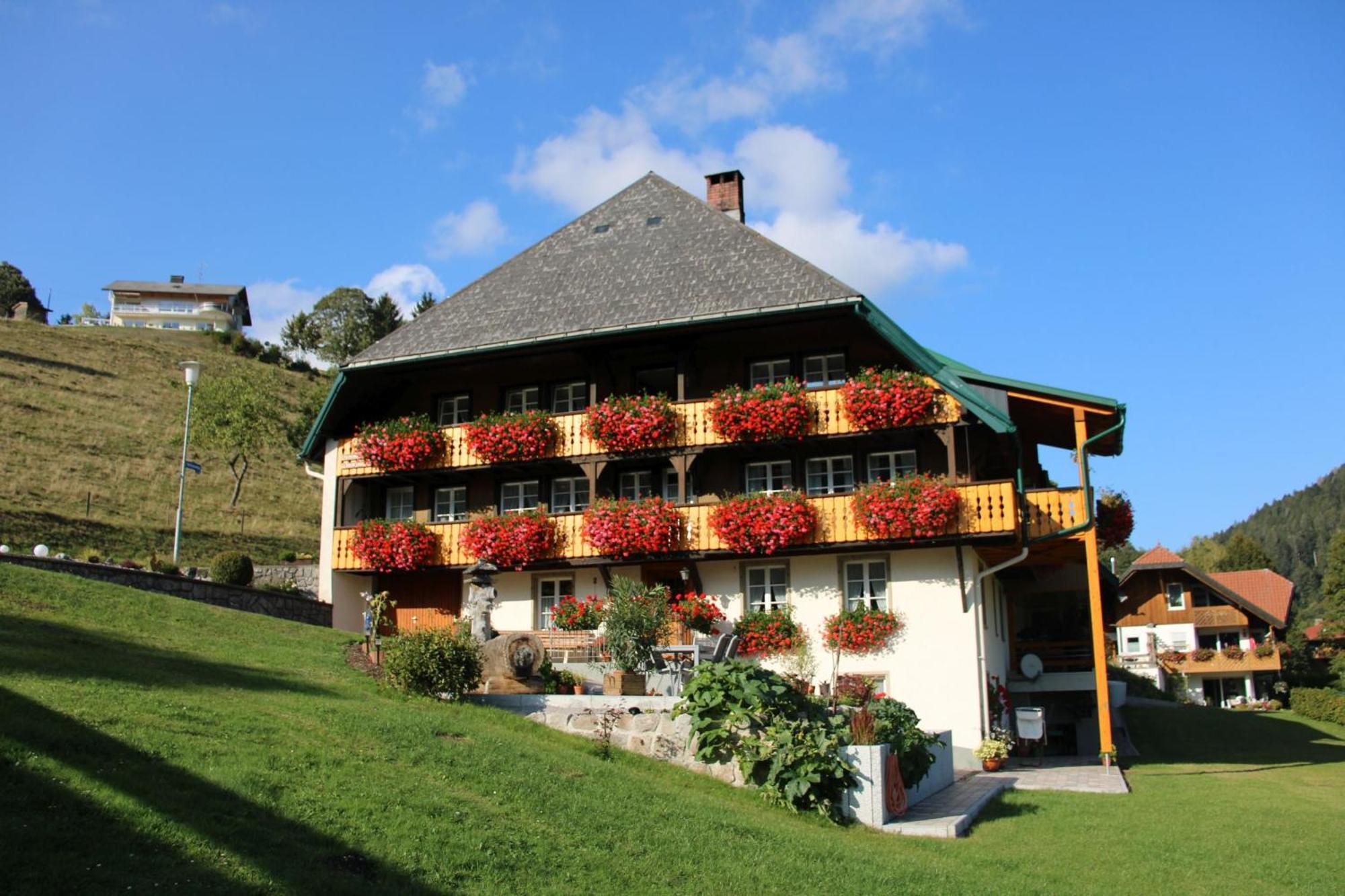 Ferienwohnung Talblick Тодтмос Экстерьер фото